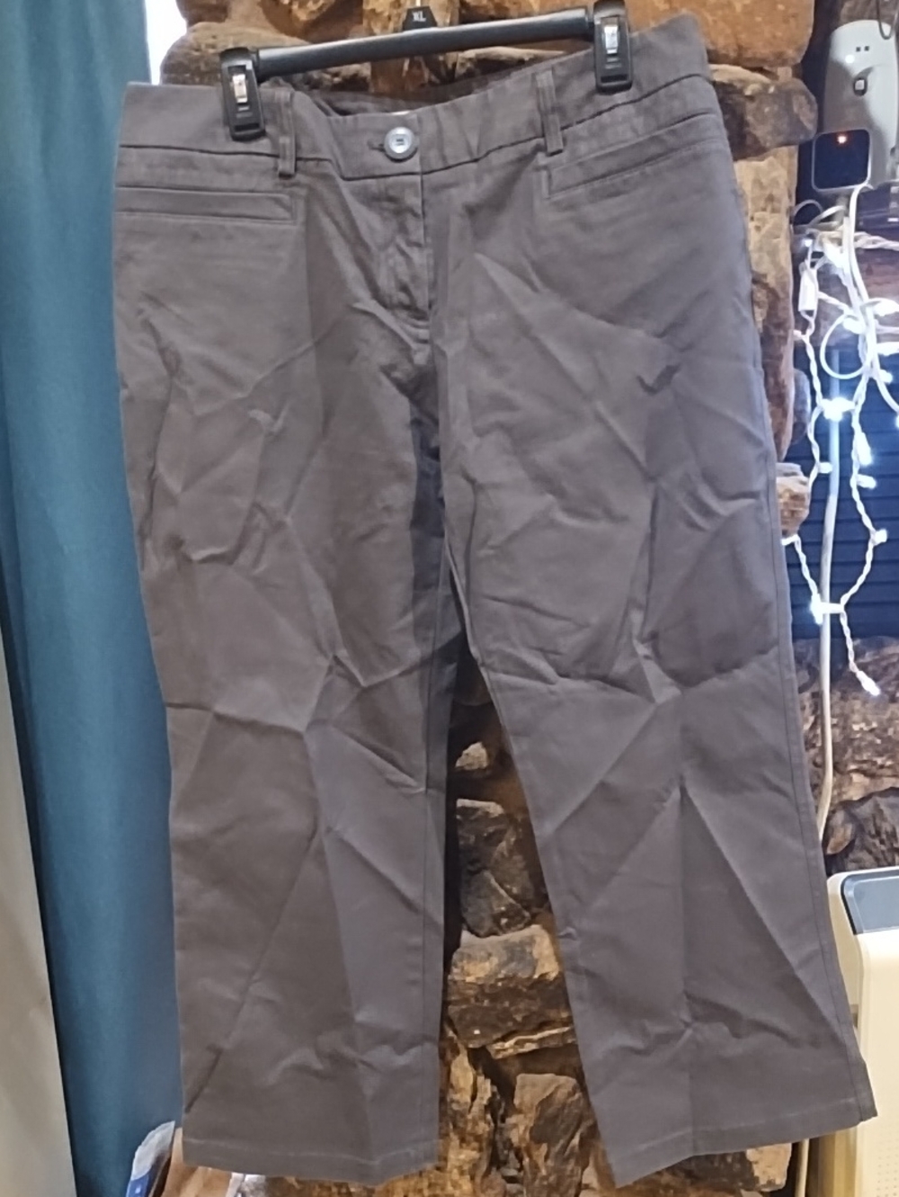 Dalia Collection Charcoal Cropped Pants